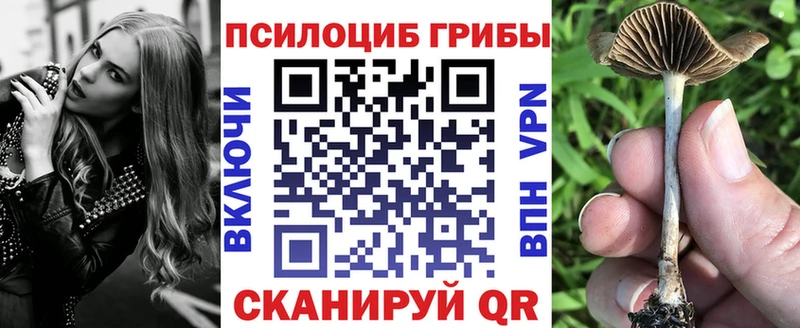 сколько стоит  Южноуральск  Галлюциногенные грибы Psilocybe 