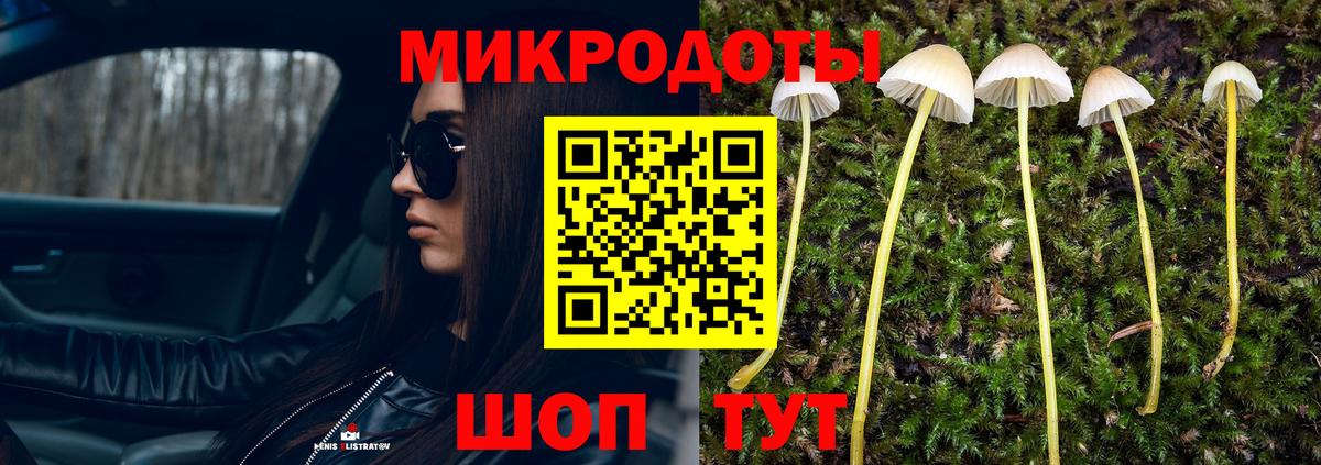 Псилоцибиновые грибы MAGIC MUSHROOMS  Вход с VPN  Южноуральск  Псилоцибиновые грибы ЛСД 